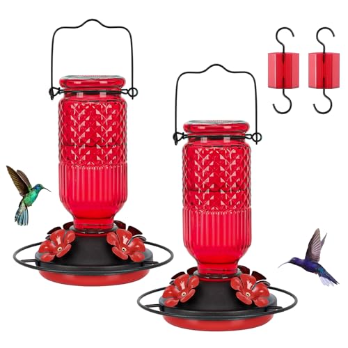 Glass Hummingbird Feeder for Outdoors Hanging (2 Count)