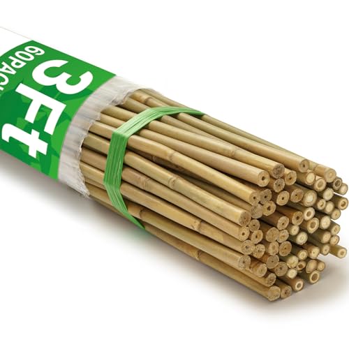 60Pcs Bamboo Stakes for Plant 3 Feet (3ft-60 Pcs)