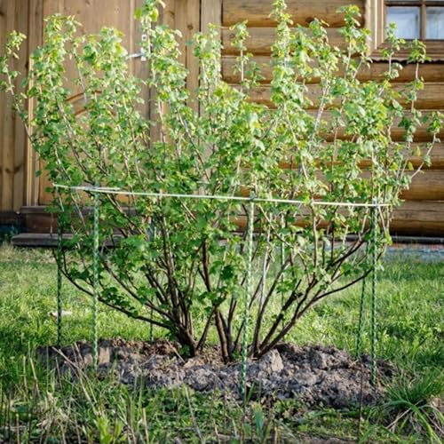 6 Ft Fiberglass Eco Friendly Garden Stakes 20 Pack