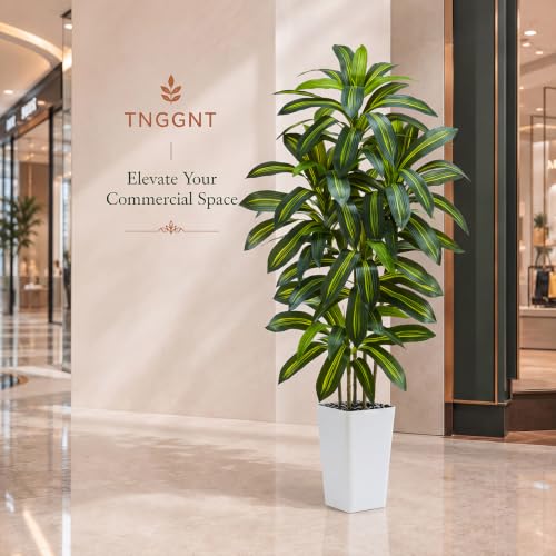 Artificial Dracaena Tree (Dark Green – White Pot / 6FT)