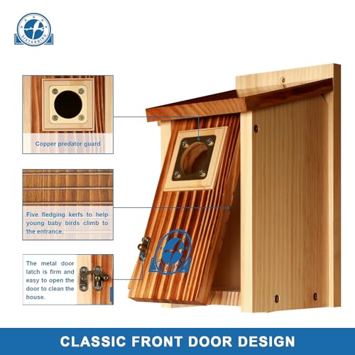 2 Pack Bluebird House