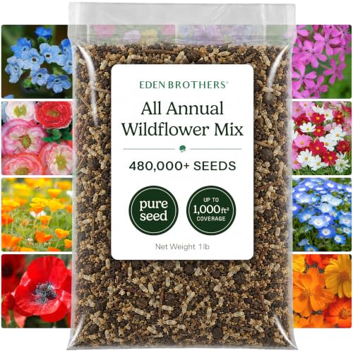 All Annual Wildflower Mixed Seeds for Planting