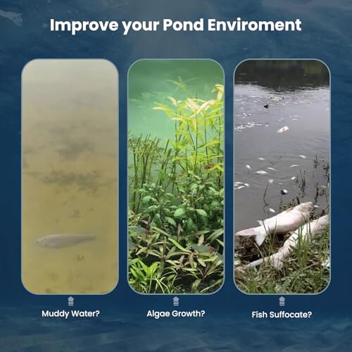Pond Aerator Pump 5.2 CFM