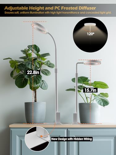 Smart Grow Lights for Indoor Plants