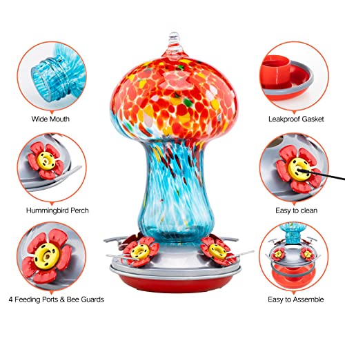 Gifts for Women Hummingbird Feeders for Outdoors Hanging Ant and Bee Proof