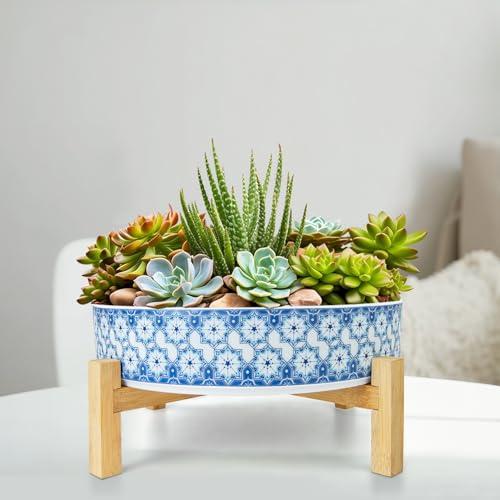 Succulent Pots (Floral 2)