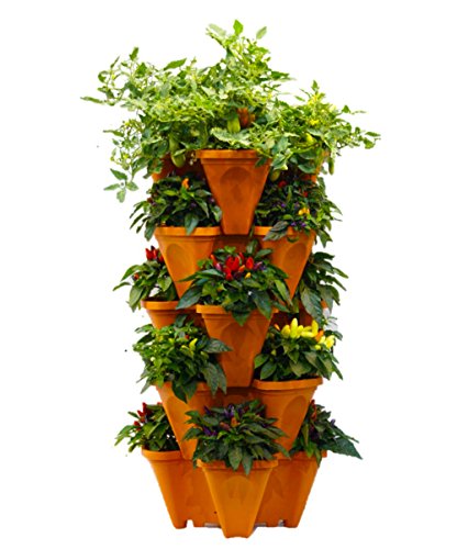 Vertical Gardening Planters (12 Count)