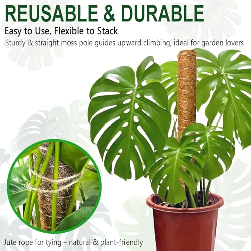 4 Pack 22 Inch Stackable Moss Pole (4 × 22 Inch)