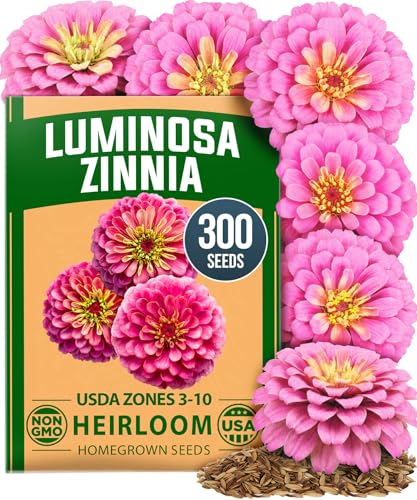 Zinnia Seeds Luminosa Pink