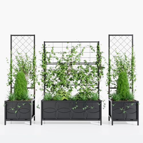 Sturdy Raised Garden Bed with Trellis