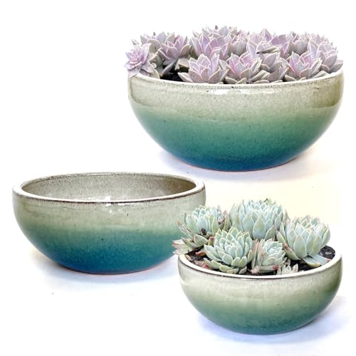 11 9 7 Inch Succulent Pot with Drainage and Mesh Pads Large Round Ceramic Plant Pot for Indoor Outdoor Plants Succulent Planter Cactus Bonsai Pot Container Set of 3 (3 Count)