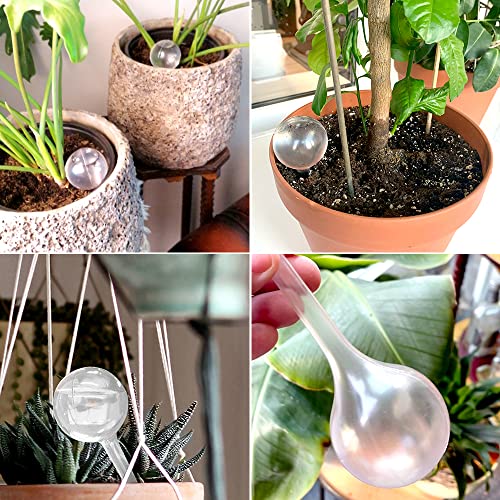 14 Pcs Plant Clear Watering Bulbs