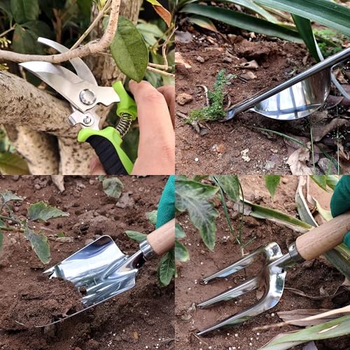 41 Piece Premium Gardening Tool Set (41 Count)