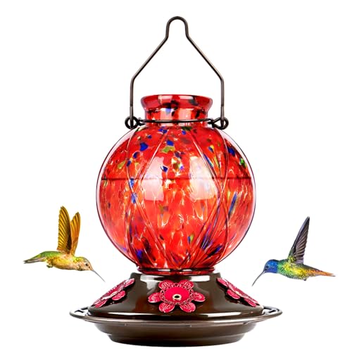 Glass Hummingbird Feeders for Outdoors Hanging (Rising Red)