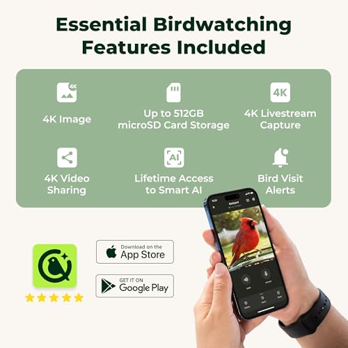 Solar Smart Bird Feeder with Camera