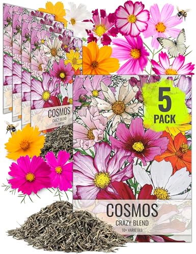 Flower Seeds Cosmos Original Crazy Mix (5 Count)