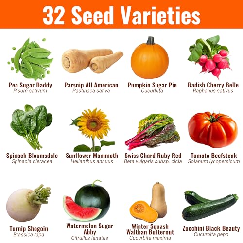 Vegetable & Fruit Seeds (32 Count)