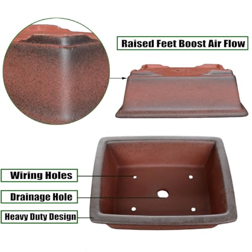 Decorative Ceramic Bonsai Planter Pot 8.5 Inch with Tray