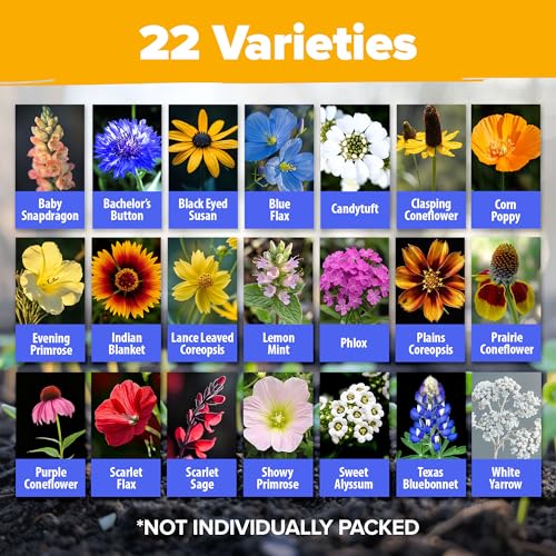 Texas Wildflower Seeds Bulk Mix