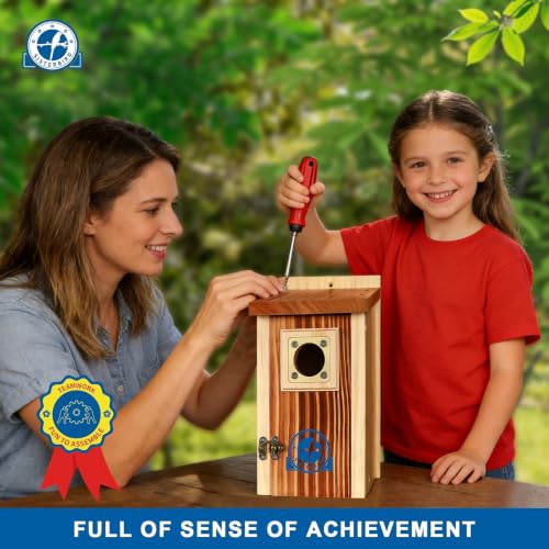 2 Pack Bluebird House