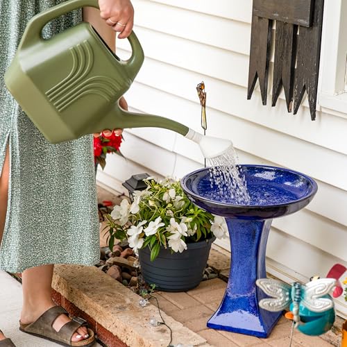 Sunnydaze Ceramic Bird Bath Bowl