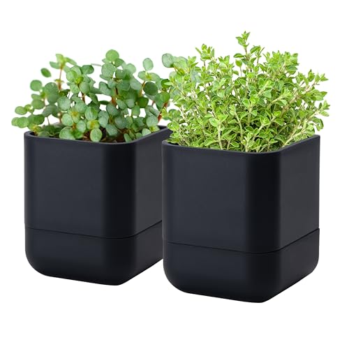 4.5 Inch Wall Mounted Self (4.5" (2 Pack) / Black)