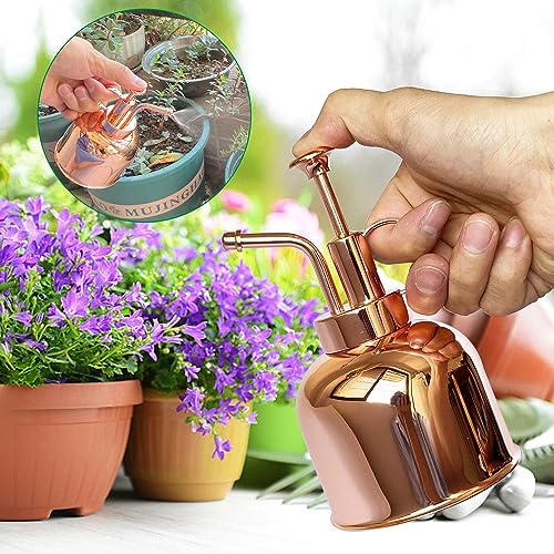 Plant Mister Spray Bottle Stainless Steel Plant Sprayer