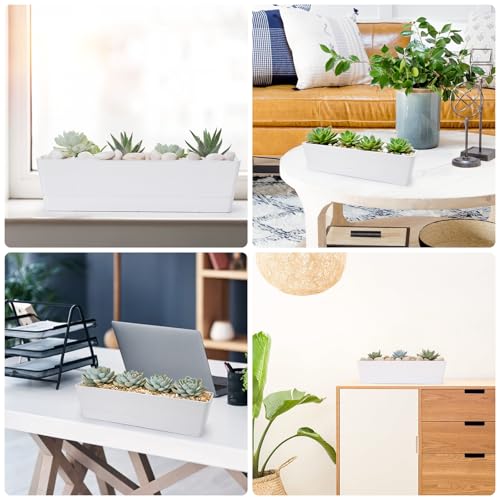 Long Window Boxes Planters (6Packs/16x3.8in)