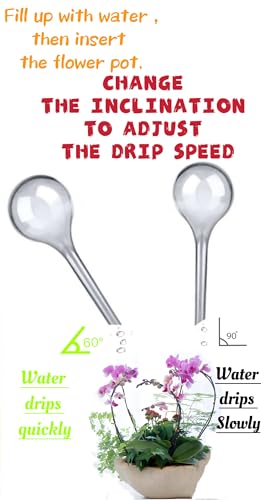 Plant Watering Globes (12 Count)