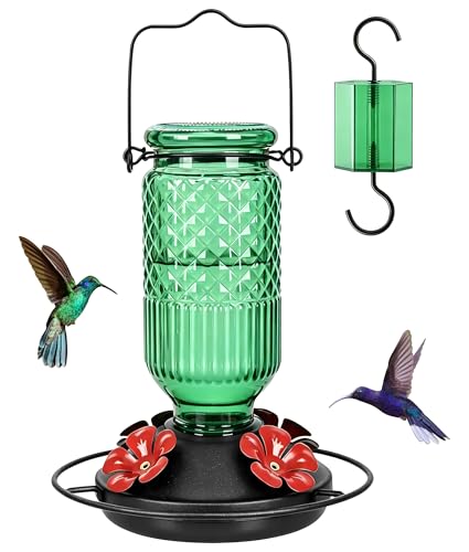Glass Hummingbird Feeder (Green)