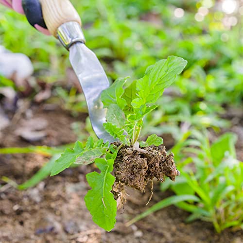 Hand Weeder Tool