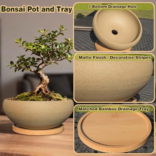 2 Pack 8+6 Inch Plant Pot (8"+6.8")