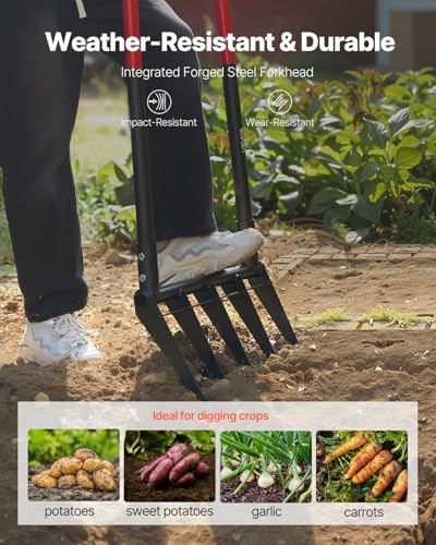 Broad Fork, 5-Tine Pitchfork with Dual Fiberglass Handles, Heavy Duty Garden Fork, Ergonomic U-Shaped Design Broadfork Hand Tiller, Gardening Tool for Composting Transplanting Aeration