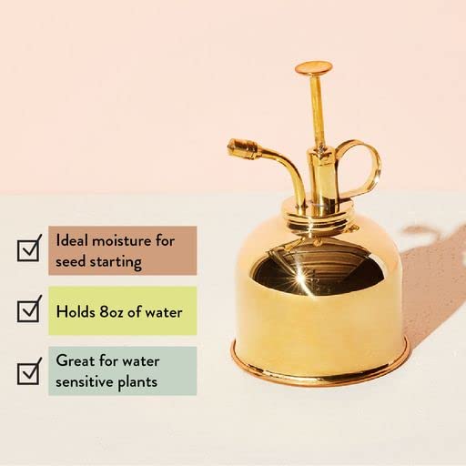 Plant Mister 8 oz Indoor Watering Can & Sprayer