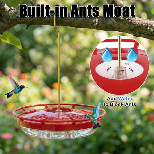 Saucer Hummingbird Feeders for Outdoors Hanging (2 Count)