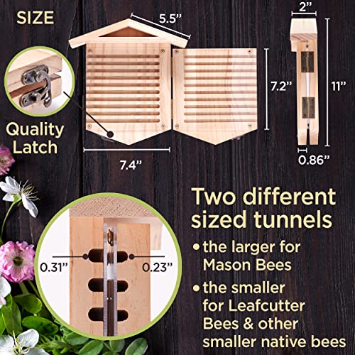 Native Bee Observatory