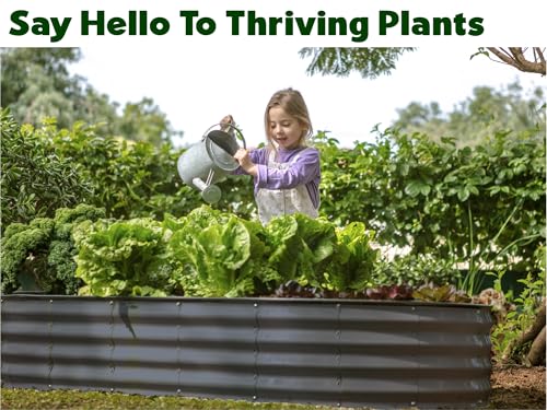 Galvanized Raised Garden Beds Outdoor