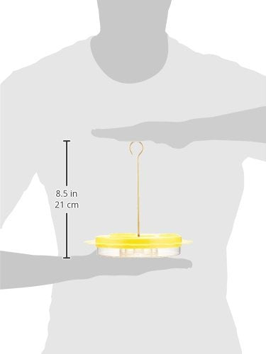 Flutterby Butterfly Feeder