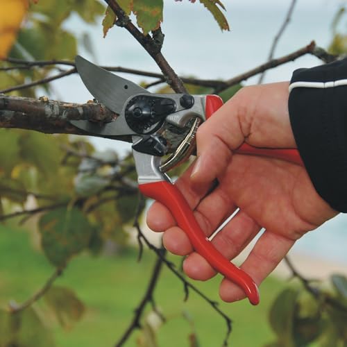 F8 Pruning Shears