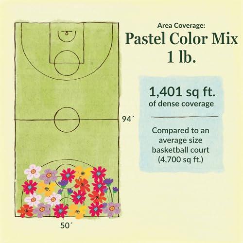 Pastel Bulk Wildflower Seeds (16 Ounce)