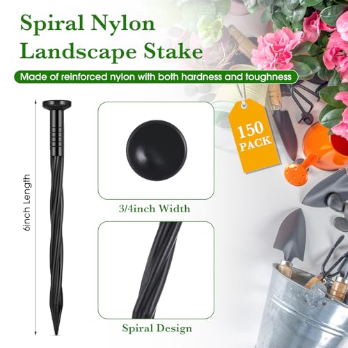 150 Pcs Black Giant Skeleton Accessories Landscape Spikes Bulk Plastic Edging Nails Garden Spiral Landscape Edging Anchoring Spike for Halloween Inflatable Outdoor Decorations (Black / 6 Inch)