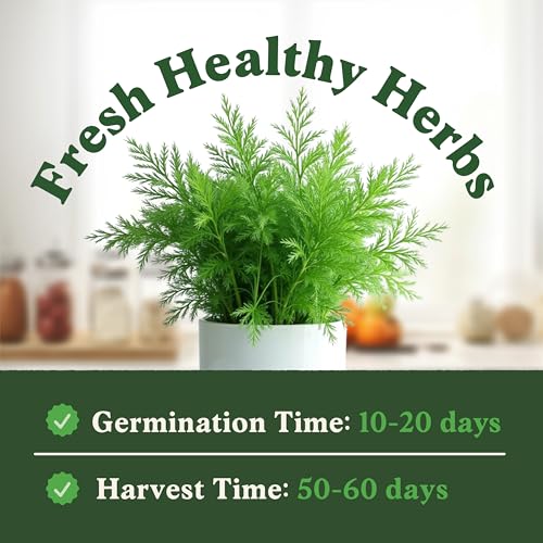 Organic Non GMO Herb Seeds for Planting Outdoors