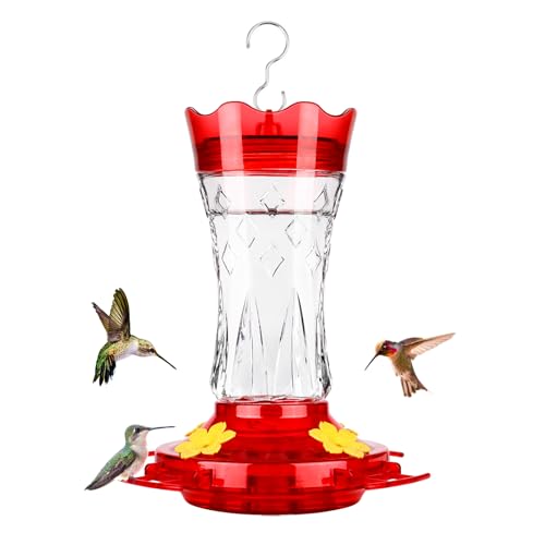Glass Hummingbird Feeders for Outdoors