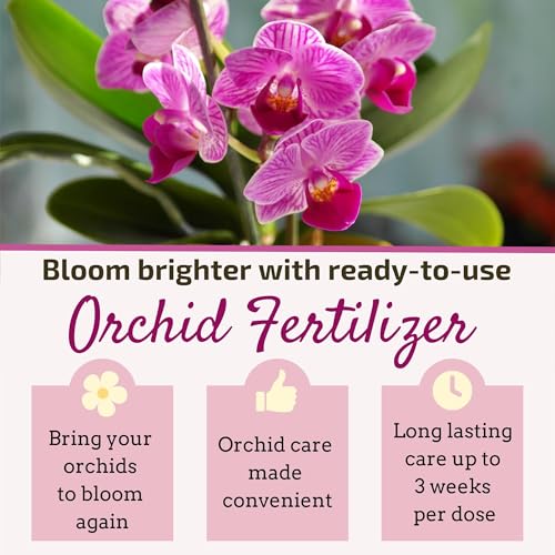 Liquid Orchid Fertilizer Spikes (Pack of 2 / Orchid Fertilizer)