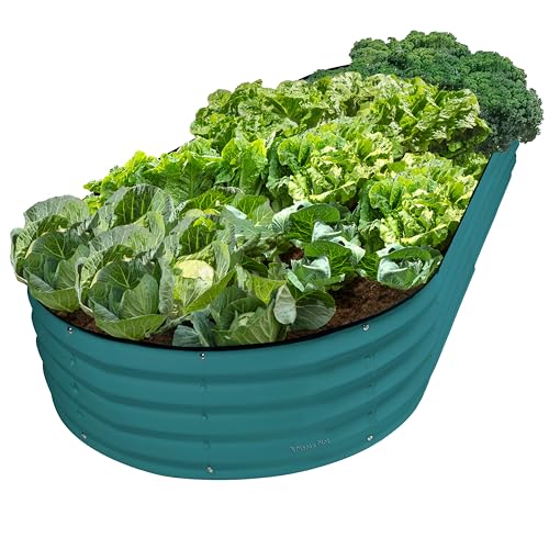 Galvanized Raised Garden Beds Outdoor