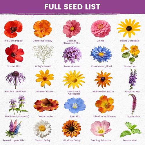 Wildflower Seeds Bulk Mix