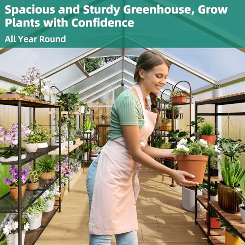 8x12 FT Greenhouse (Silver / 8x12 FT)