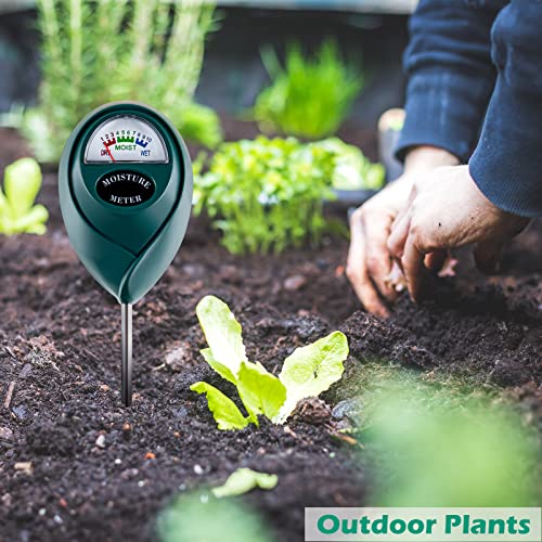 Soil Moisture Meter for House Plants