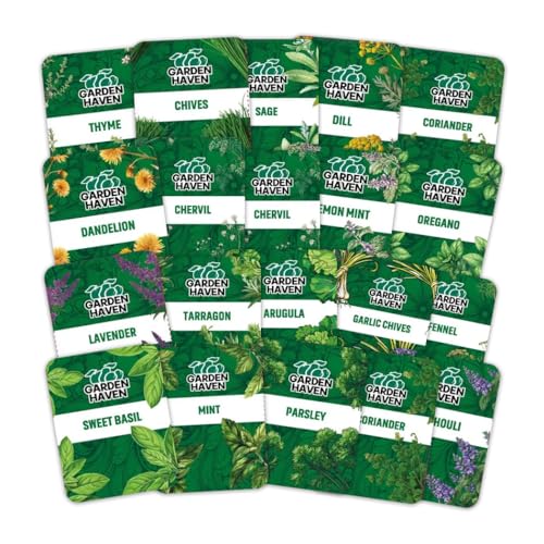 20 HERB Seeds Variety Pack