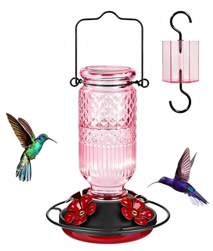 Glass Hummingbird Feeder for Outdoors Hanging